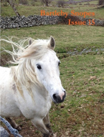 bs-issue-15-cover-web